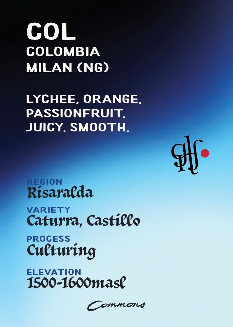 GLITCH Colombia Finca Milan NG