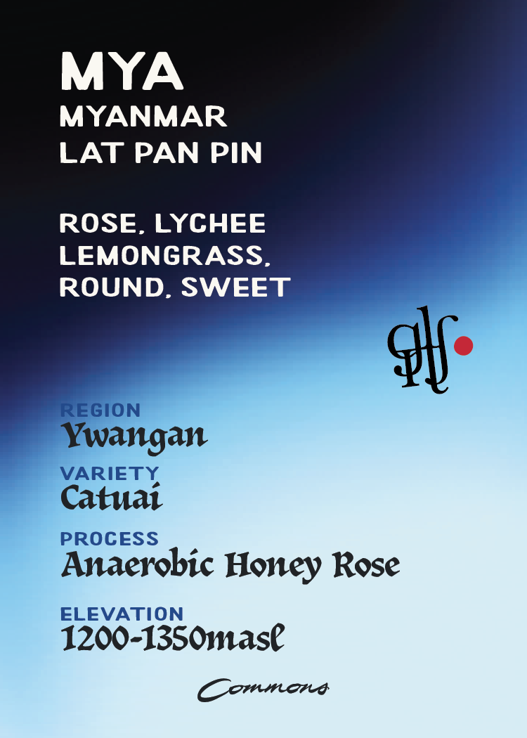 GLITCH Myanmar Ywangan Lat Pat Pin