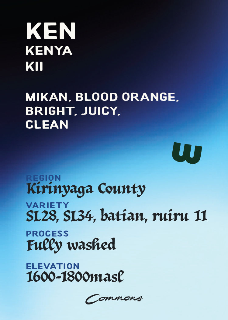 Kenya Kii AA Fully Washed