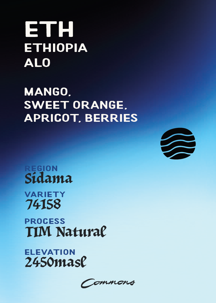 Ethiopia ALO TIM Natural