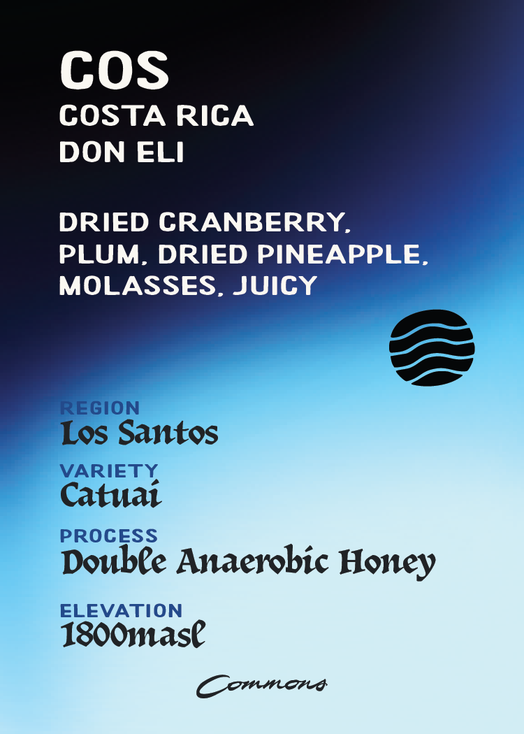Costa Rica Don Eli x Tetsu Process