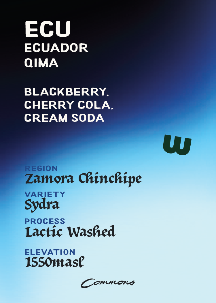 Ecuador Qima Sydra Lactic Washed
