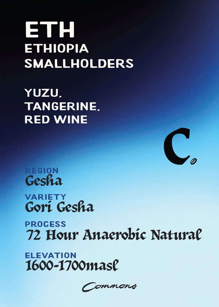 Commons Gori Gesha 72 Hour Anaerobic Natural