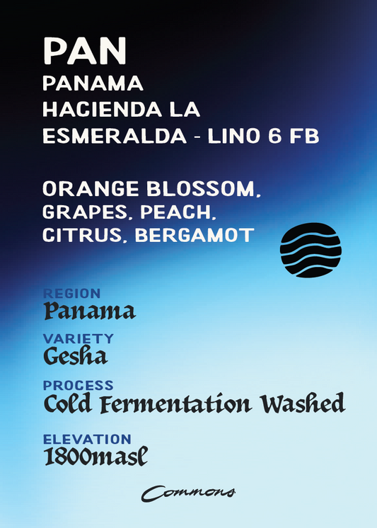 Panama Hacienda La Esmeralda Gesha Lino 6 FB